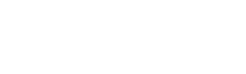 DLMLogo_Kopf_199x60pix_weiss